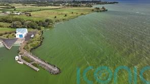 Recovery of Lough Neagh &lsquo;will take years, if not decades&rsquo;, says Muir