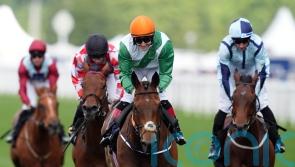 Crystal Black confirmed for Cumberland challenge