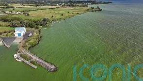 Recovery of Lough Neagh &lsquo;will take years, if not decades&rsquo;, says Muir