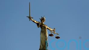 Former Brit school student saw ‘red-horned devil’ in bedroom, court told