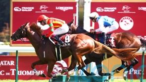 Murphy hoping to help realise Arc Dream for Japan