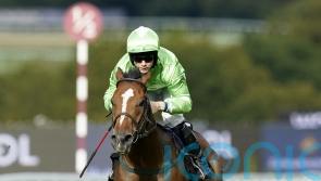 Quinn expecting mighty performance from Jm Jungle