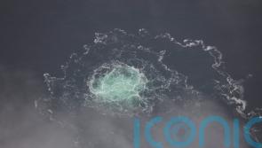 Ukrainian held in Poland over damage caused to Nord Stream gas pipelines