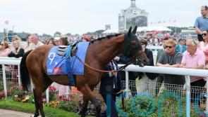 Foret run could provide Maranoa Charlie’s career finale