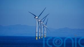 Tories pledge to scrap landmark climate legislation in favour of ‘cheap’ energy