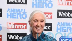 William hails Jane Goodall for &lsquo;challenging us all to make a difference&rsquo;