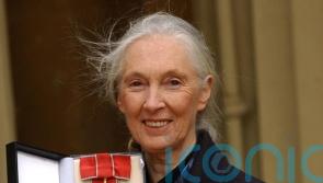 David Attenborough hails Jane Goodall as a ‘tireless advocate’ for chimpanzees