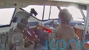 At least 14 Irish citizens detained after Gaza-bound flotilla intercepted