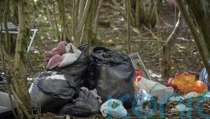 Two arrested as self-styled ‘African tribe’ evicted from woods