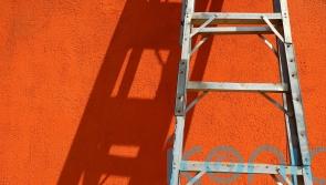 Inquiry to investigate deaths after falls from height at farms
