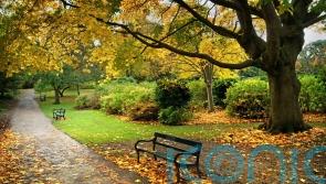 Historic gardens and parks at risk from proposed planning rule changes – charity