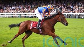 Diamond Necklace sparkles in Prix Marcel Boussac