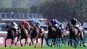 Arc hero Daryz is a dream come true for Francis-Henri Graffard