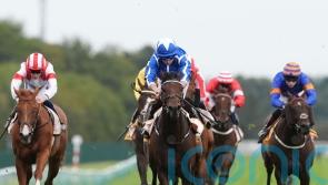 The Reverend ready to embark on hurdles career with Willie Mullins