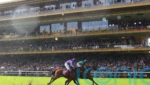 Daryz ‘really well’ after Arc heroics, but no decision yet on future plans