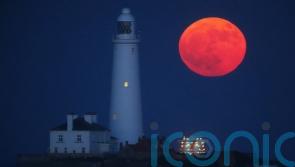 October supermoon ‘visible from anywhere’ on Tuesday night, say astronomers