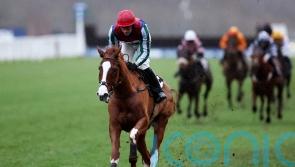 Windbeneathmywings nearing take off for hurdling campaign