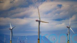 Poll suggests most Reform UK voters back investment in renewable energy