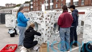 Huge concrete-like cubes deployed in North Sea to protect oysters from storms