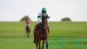 Champions Day the only option for Tamfana before sale
