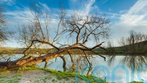 More than 20,000 new homes approved to be built in Sussex after four-year delay