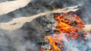 Landowner group welcomes second muirburn licensing delay