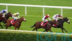 Copper Knight &lsquo;in grand form&rsquo; ahead of his own race