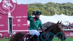 Arc hero Daryz to stay in training as a four-year-old