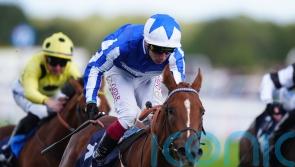 Revival Power and Brussels all set for Cornwallis cracker
