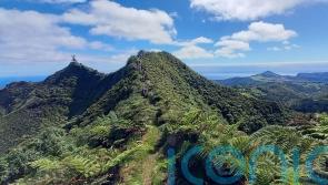 Lemurs, eagles and St Helena’s cloud forest receive UK conservation funding