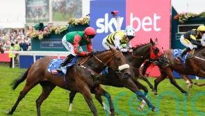 Dods back for York finale with his sprinting aces