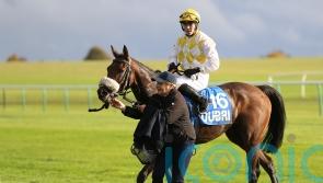 Alphonse Le Grande back at Newmarket after last year’s Cesarewitch drama