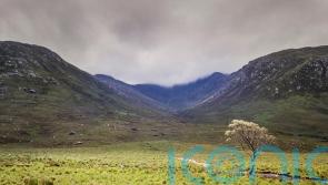 Changes needed to land reform Bill to win Green support, says Greer
