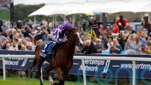 Breeders&rsquo; Cup possibility emerges for Minnie Hauk