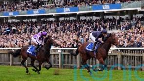 Pierre Bonnard illustrates Classic potential in Zetland Stakes