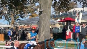 Division in class shows in victory at York