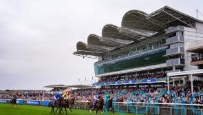 Damysus continues forward momentum in Darley Stakes