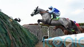 Resplendent Grey ready to make Carlisle return