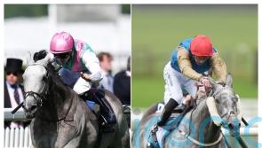 Field Of Gold and Fallen Angel head Ascot cast