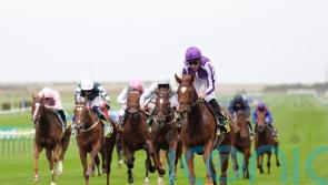 Burke backing Evolutionist to develop into Guineas contender