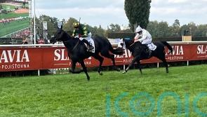 Cheltenham Festival repeat a priority for Pardubicka hero Stumptown