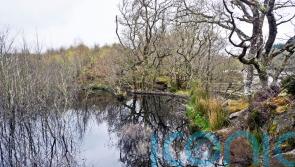 First designated nature sites named in bid to safeguard 30% of Scottish land