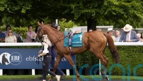 Spackler sparkling with QEII date on the horizon