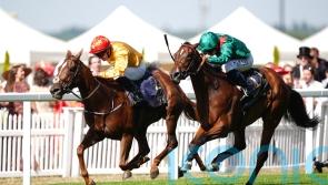 Cercene to return next year as Breeders’ Cup bid ruled out