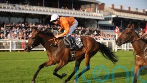 Prix Royal-Oak the next stop for Caballo De Mar