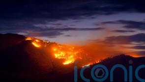 Carbon dioxide levels in atmosphere climb at record rate to new highs in 2024