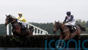 Heart Wood starts in winning fashion at Punchestown