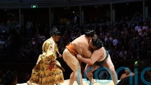 Sumo wrestling returns to London at a sold out Royal Albert Hall