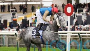 Burke: Fallen Angel ready to take on the boys in QEII