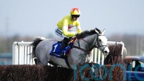 Betfair Chase ‘favourite’ option for Caldwell Potter